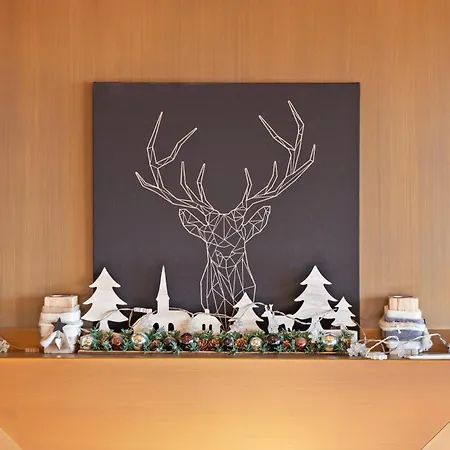 Orion 201 Au Centre E *