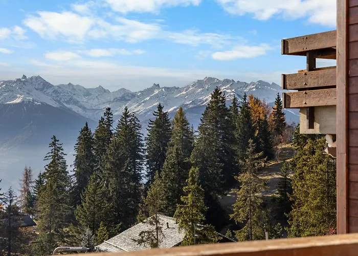 Orion 201 Au Centre E Anzère